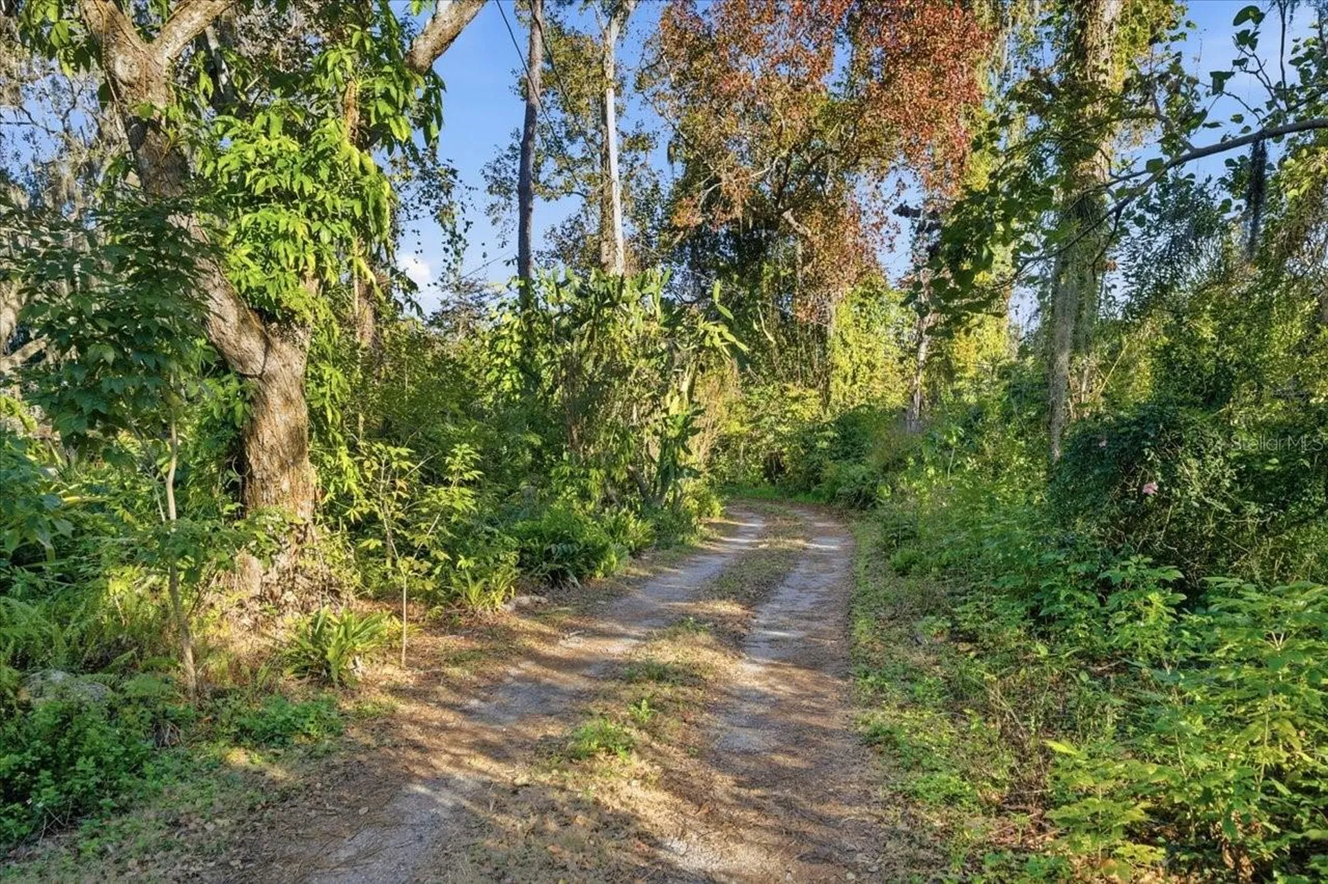 16921 Crawley Road Odessa FL 33556