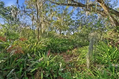 16921 Crawley Road Odessa FL 33556
