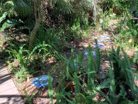 16921 Crawley Road Odessa FL 33556