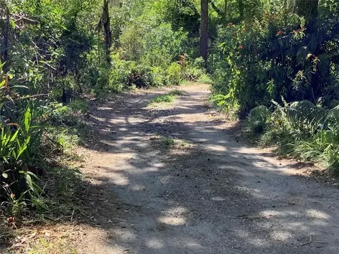 16921 Crawley Road Odessa FL 33556