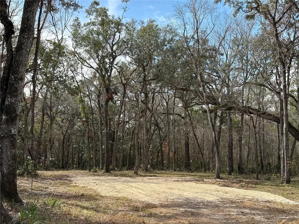 Lake Lindsey Road Brooksville FL 34601