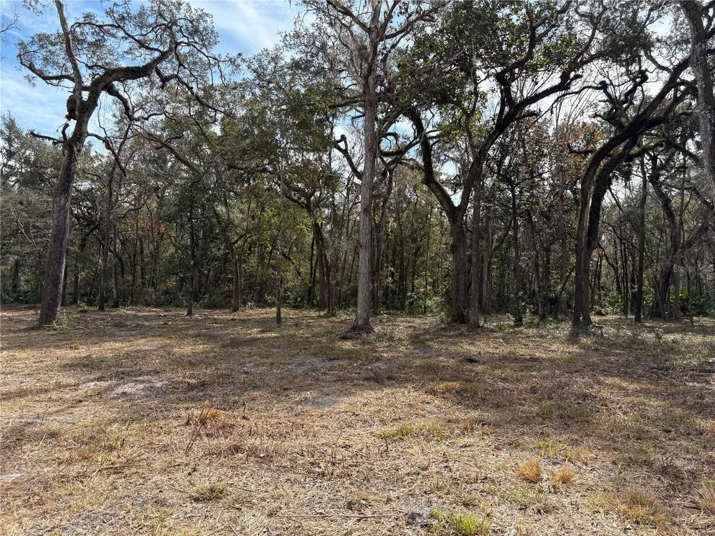 Lake Lindsey Road Brooksville FL 34601