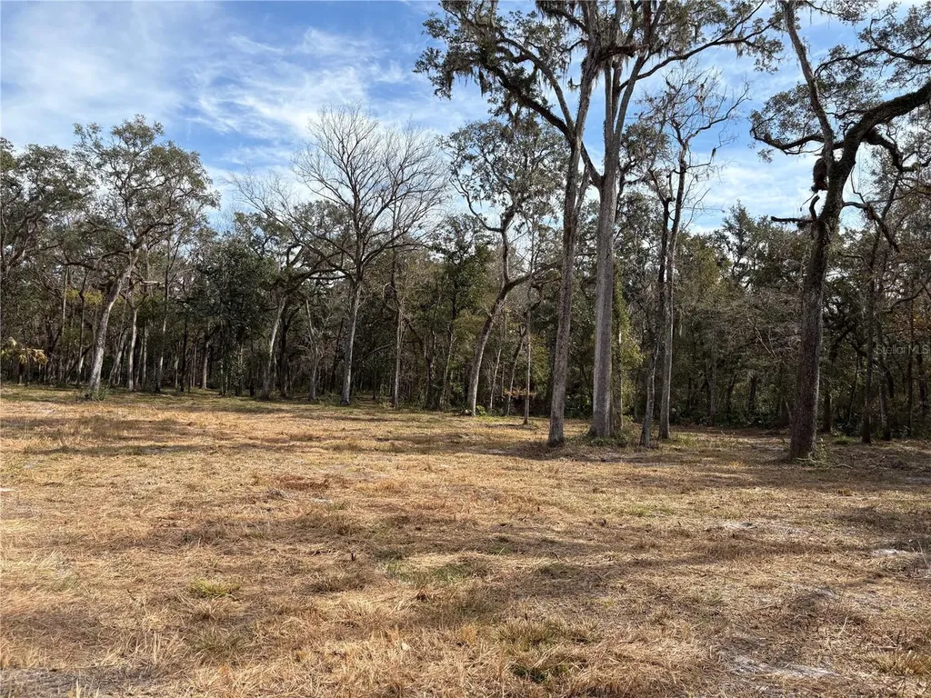 Lake Lindsey Road Brooksville FL 34601