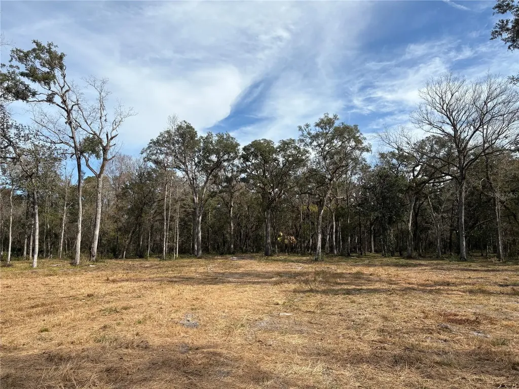 Lake Lindsey Road Brooksville FL 34601