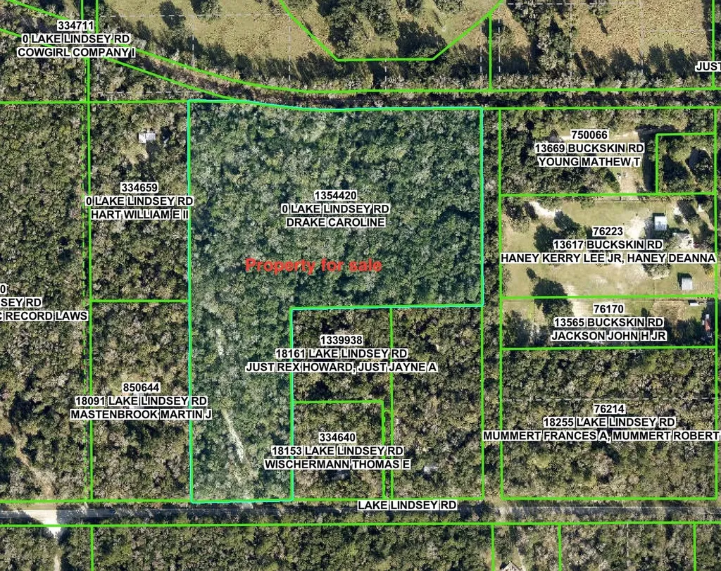 Lake Lindsey Road Brooksville FL 34601