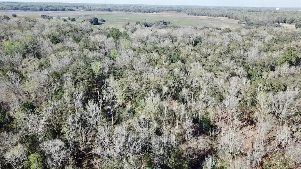 Lake Lindsey Road Brooksville FL 34601