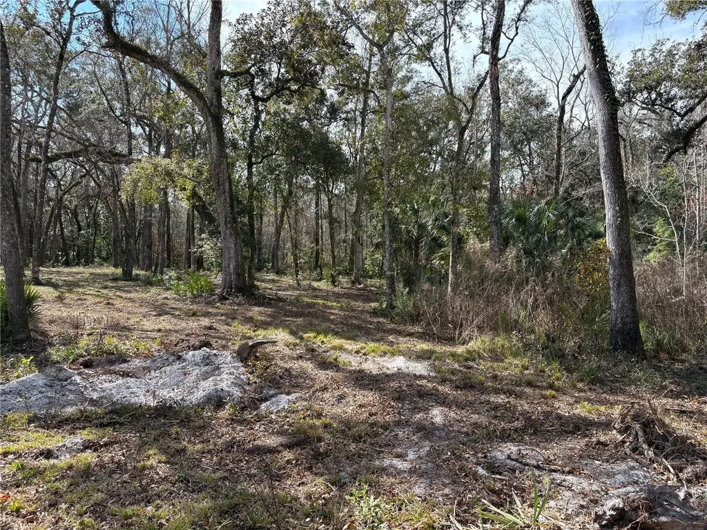 Lake Lindsey Road Brooksville FL 34601