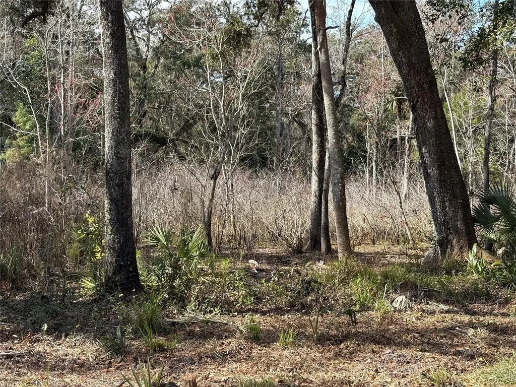 Lake Lindsey Road Brooksville FL 34601