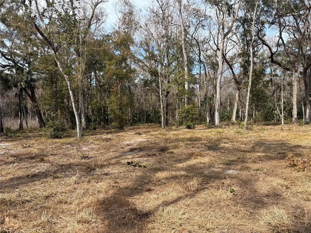 Lake Lindsey Road Brooksville FL 34601