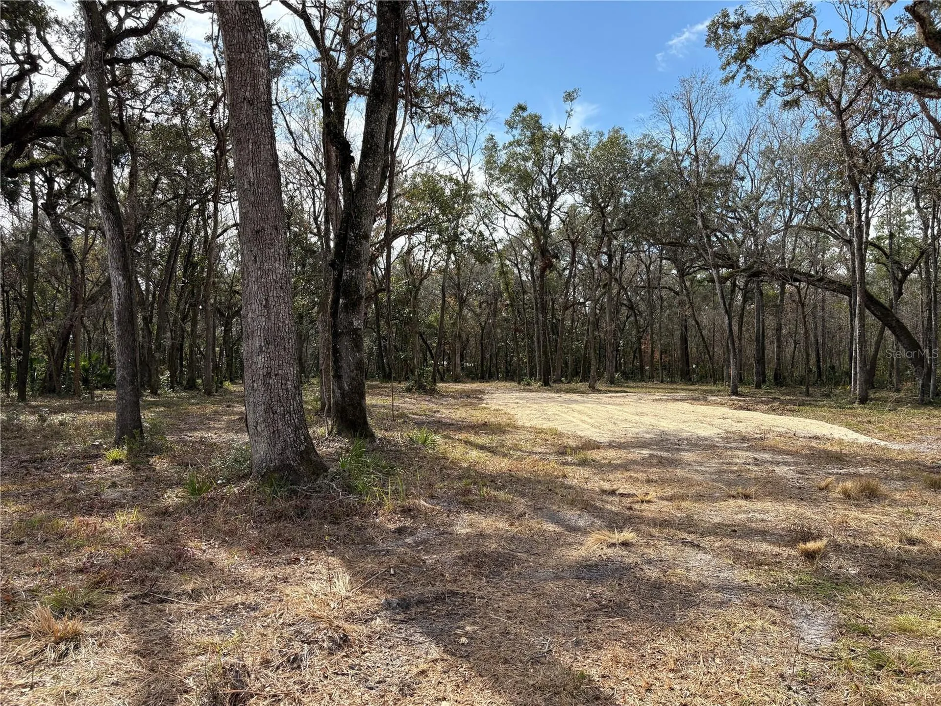 Lake Lindsey Road Brooksville FL 34601