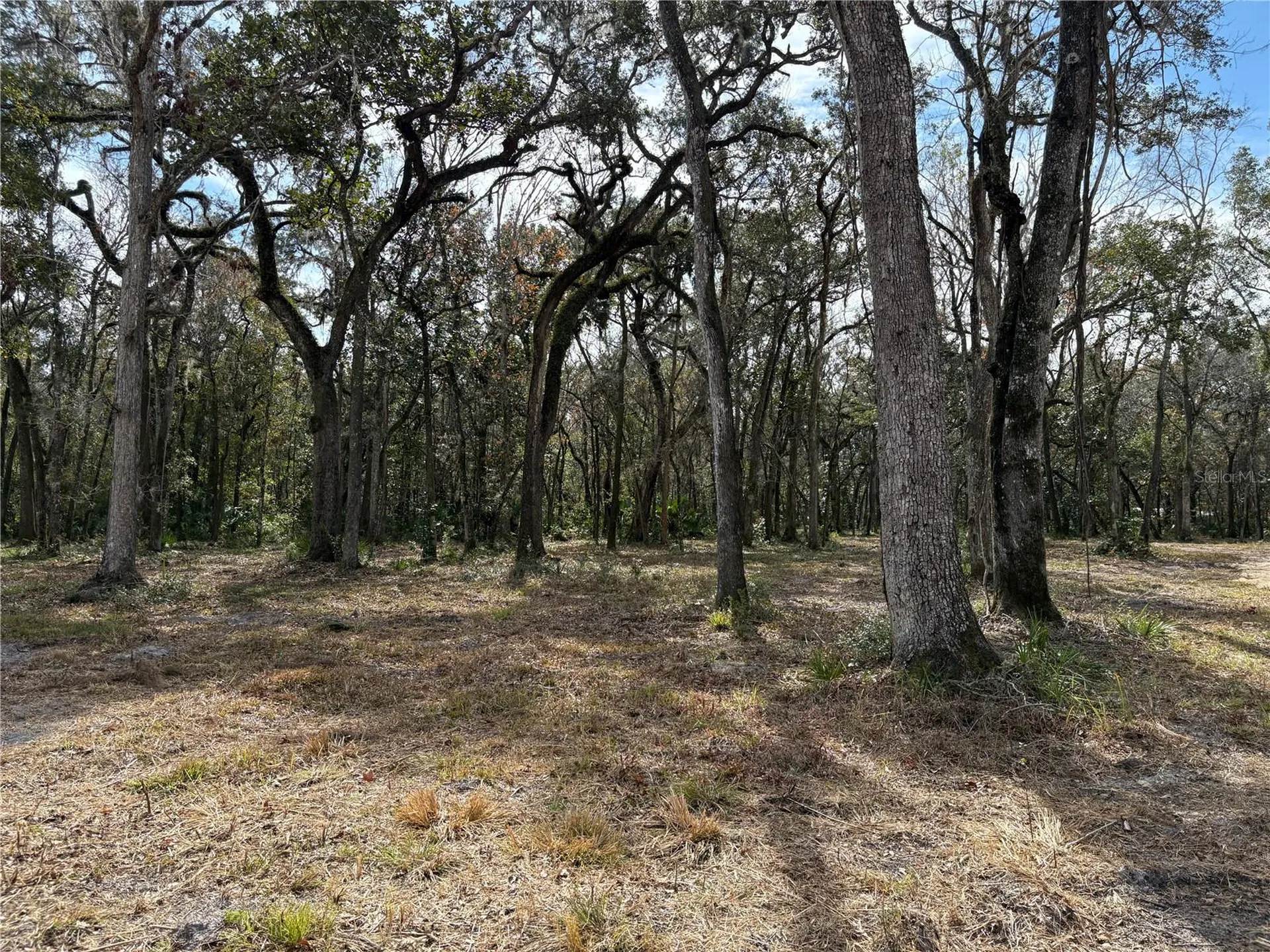 Lake Lindsey Road Brooksville FL 34601