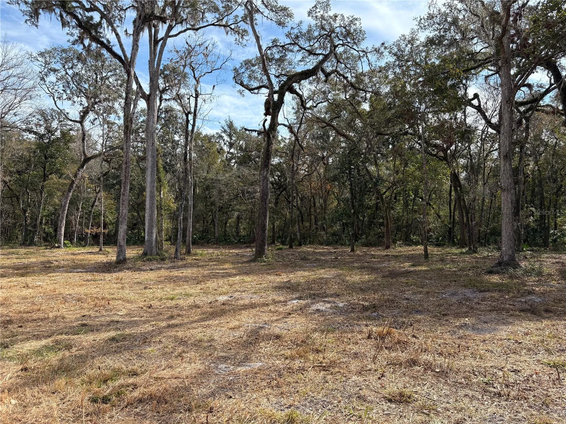 Lake Lindsey Road Brooksville FL 34601