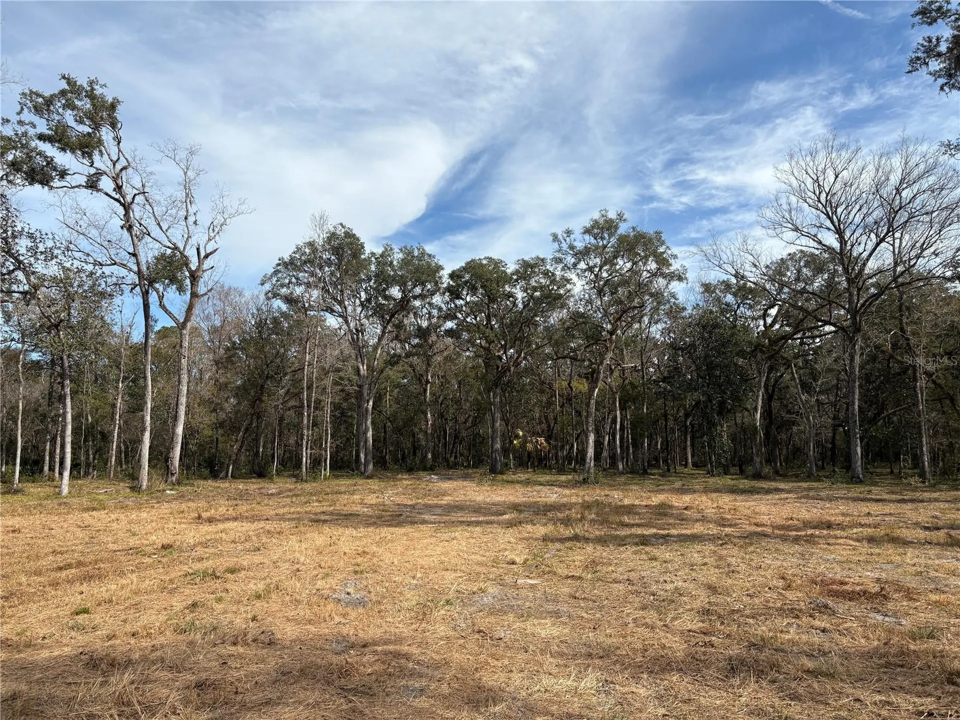 Lake Lindsey Road Brooksville FL 34601
