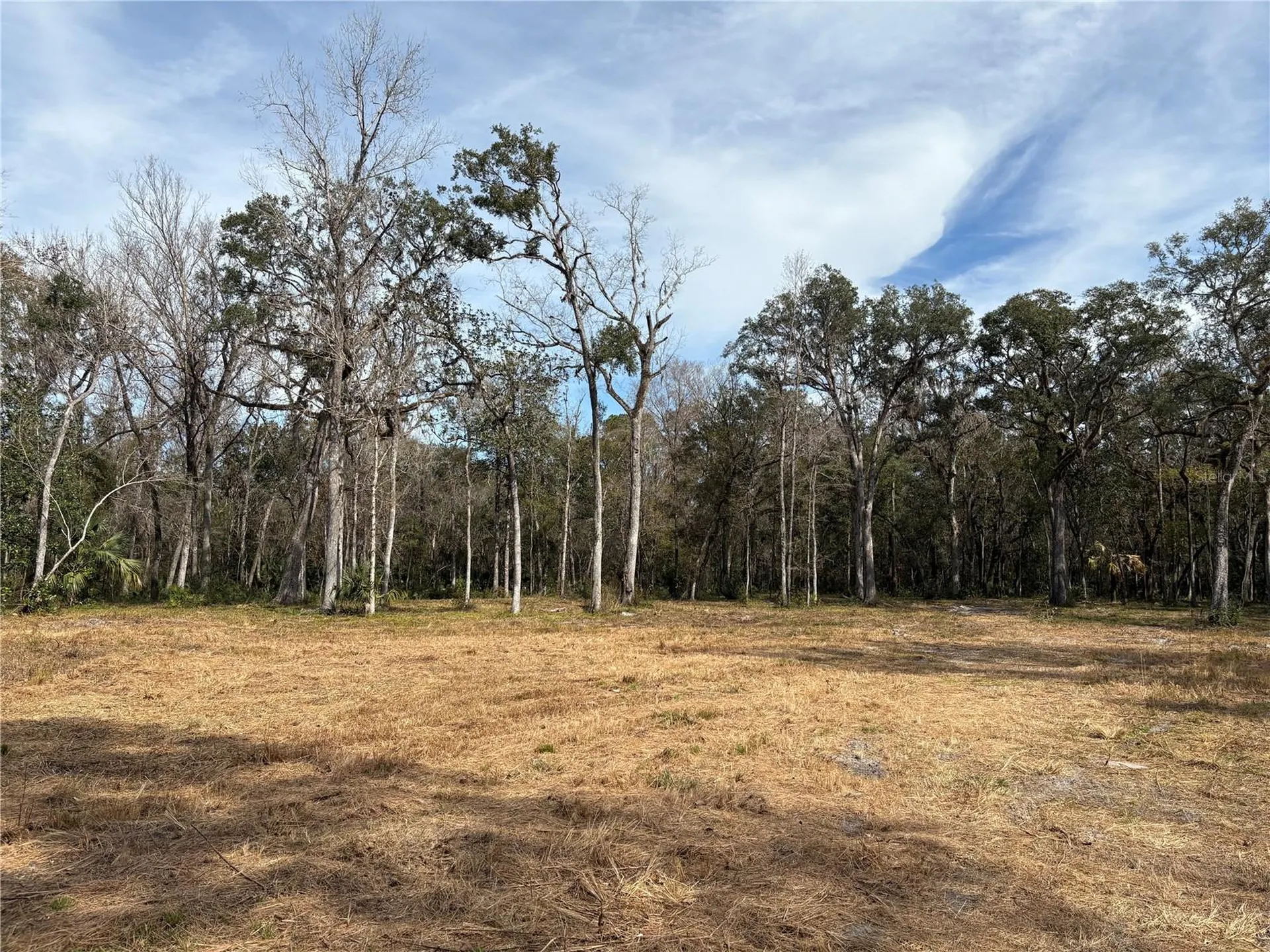 Lake Lindsey Road Brooksville FL 34601