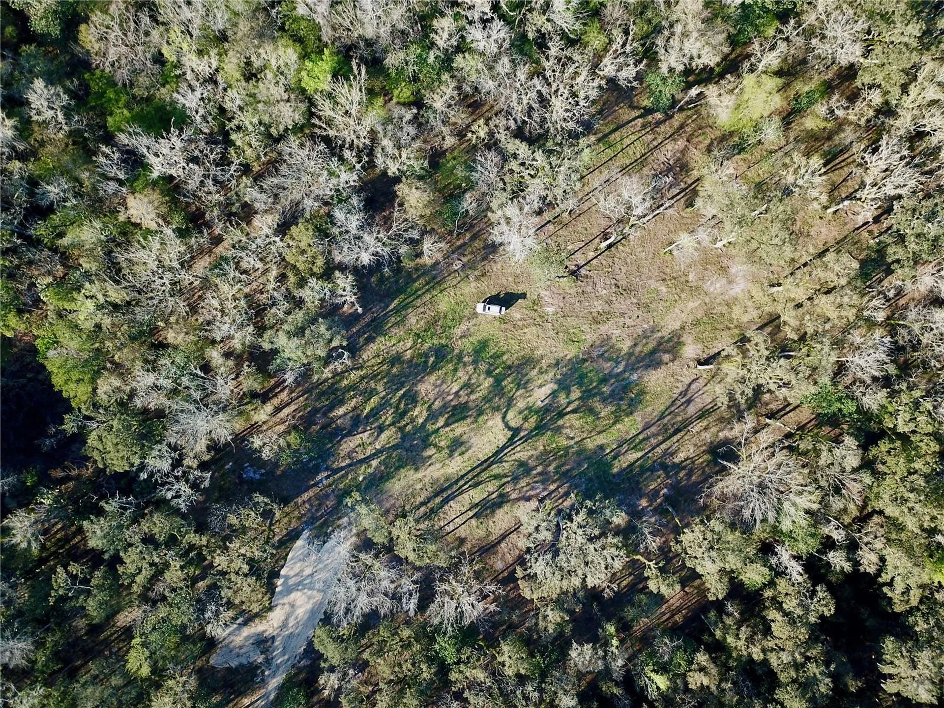 Lake Lindsey Road Brooksville FL 34601