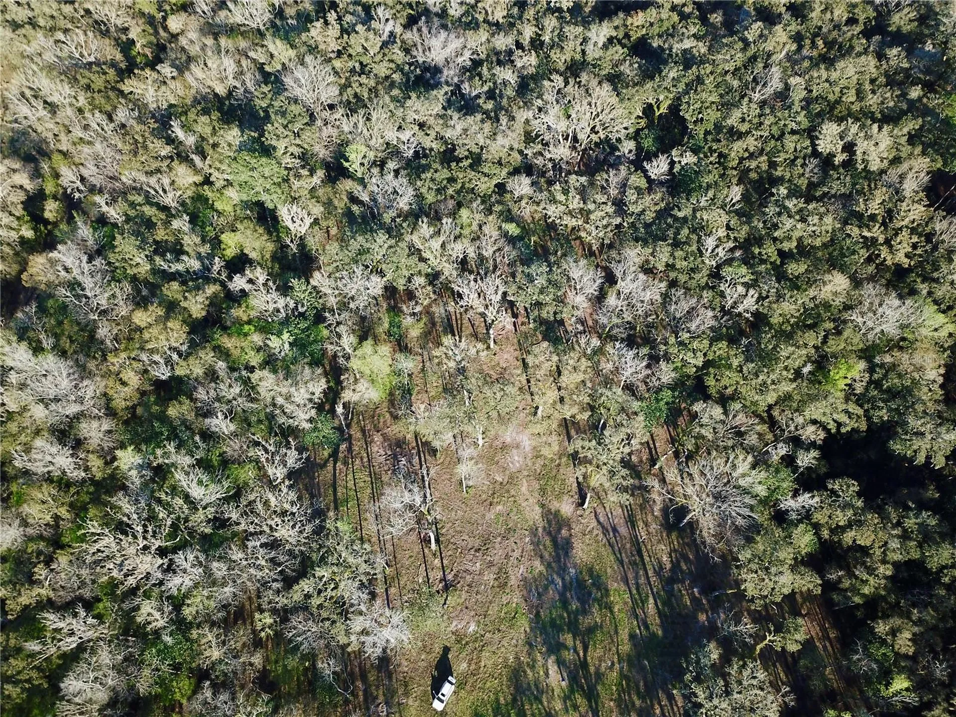 Lake Lindsey Road Brooksville FL 34601