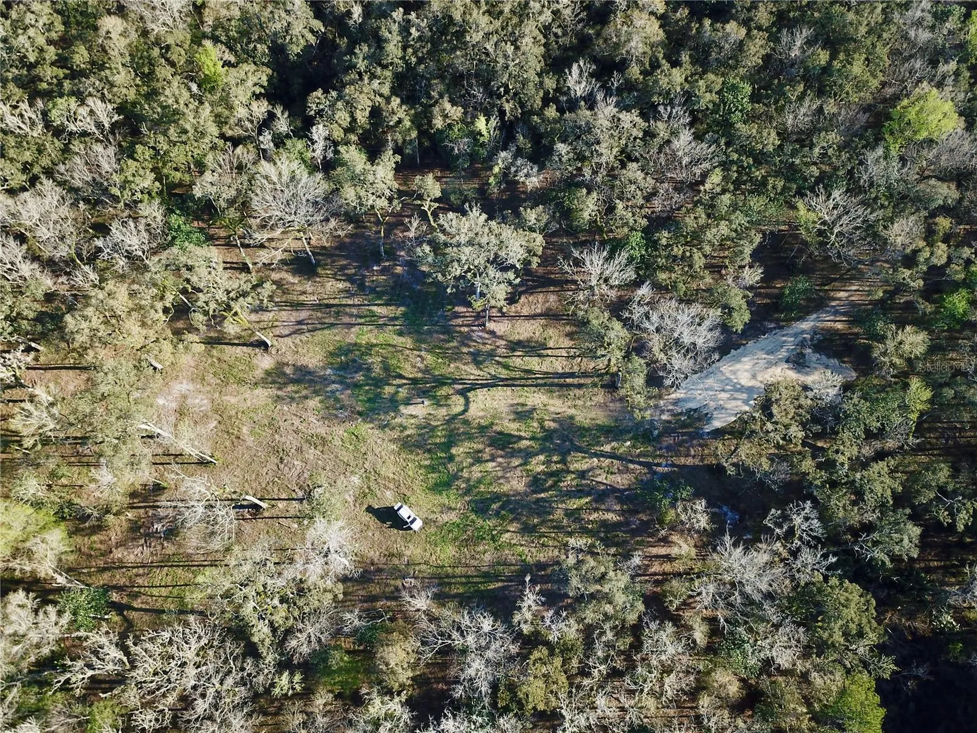Lake Lindsey Road Brooksville FL 34601