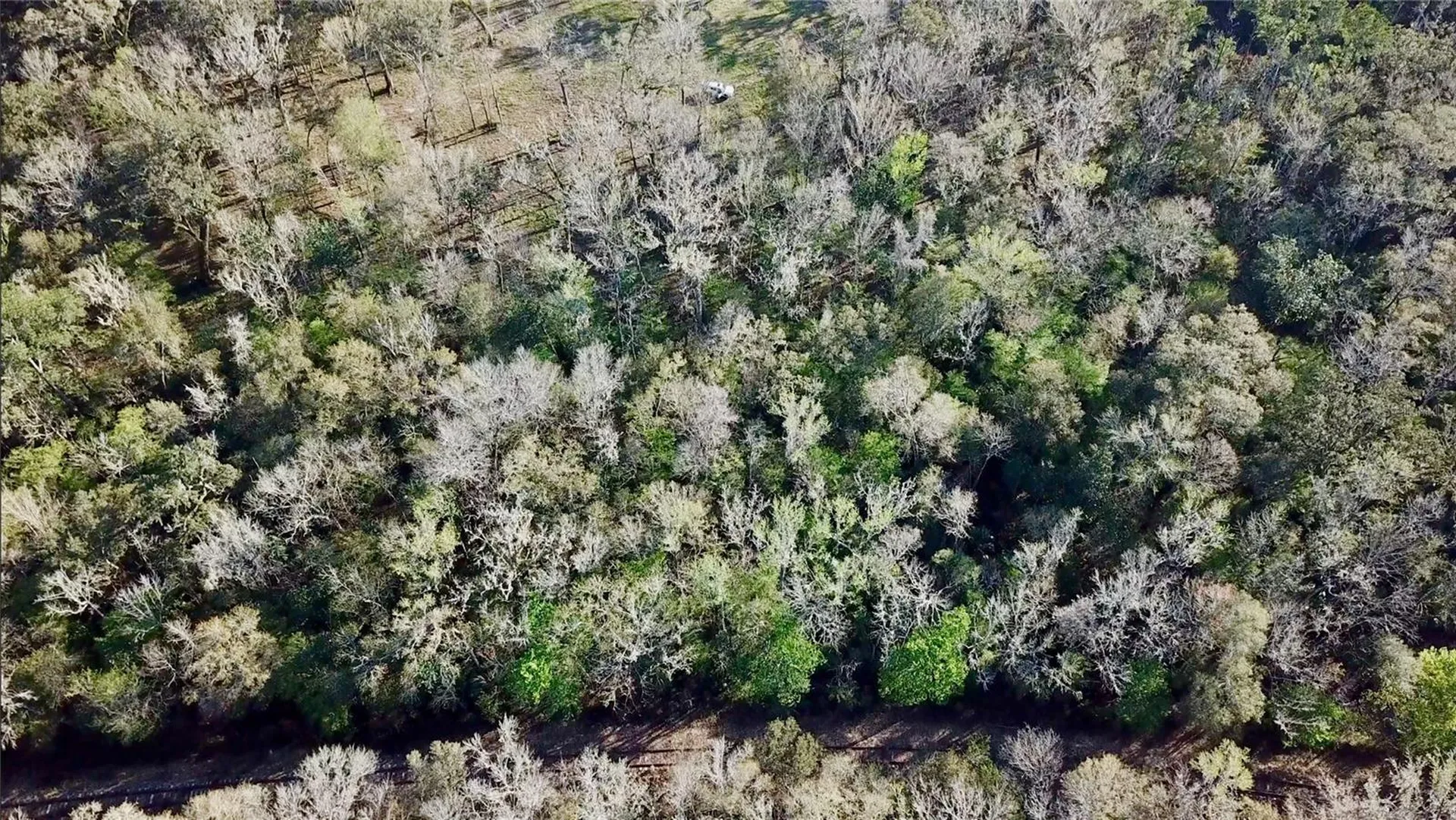 Lake Lindsey Road Brooksville FL 34601