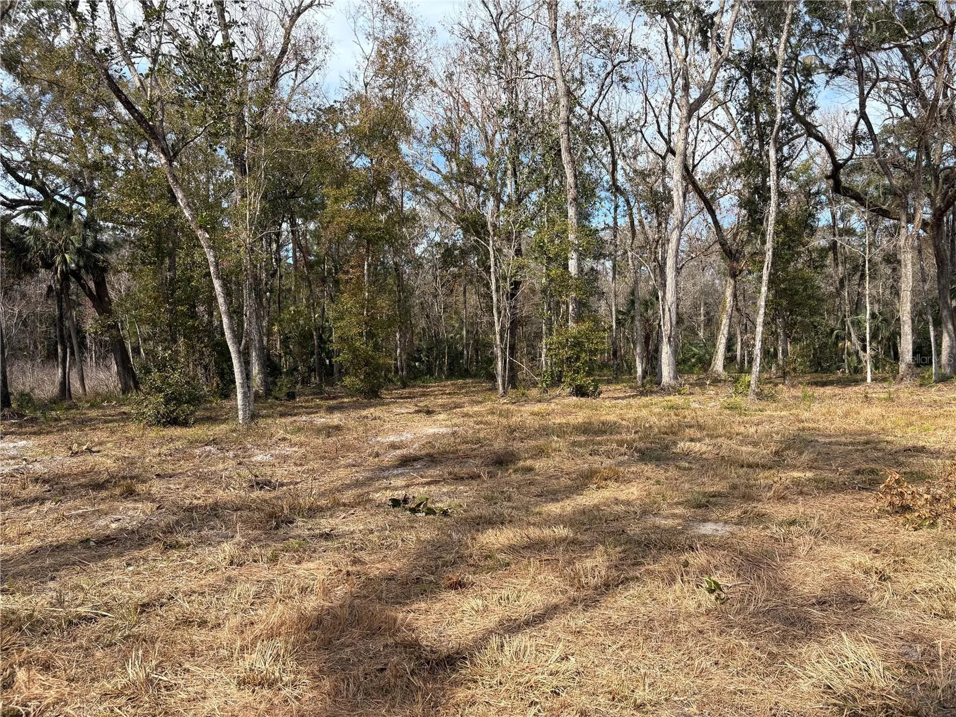 Lake Lindsey Road Brooksville FL 34601