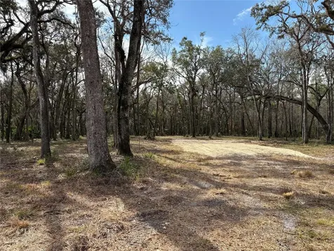 Lake Lindsey Road Brooksville FL 34601