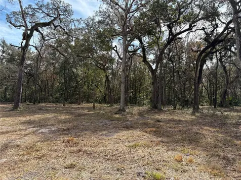 Lake Lindsey Road Brooksville FL 34601