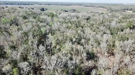 Lake Lindsey Road Brooksville FL 34601