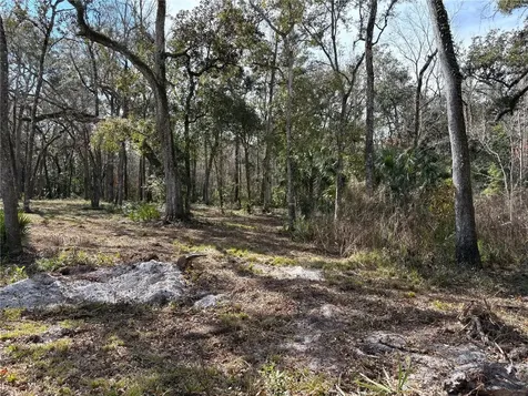 Lake Lindsey Road Brooksville FL 34601