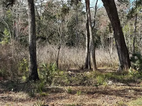 Lake Lindsey Road Brooksville FL 34601