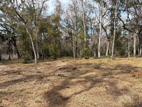 Lake Lindsey Road Brooksville FL 34601