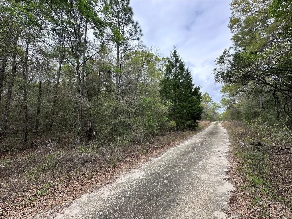 176 NE 155th Court Williston FL 32696