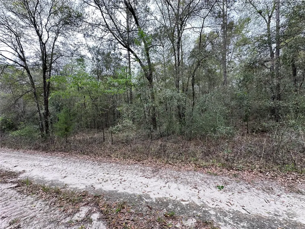 176 NE 155th Court Williston FL 32696