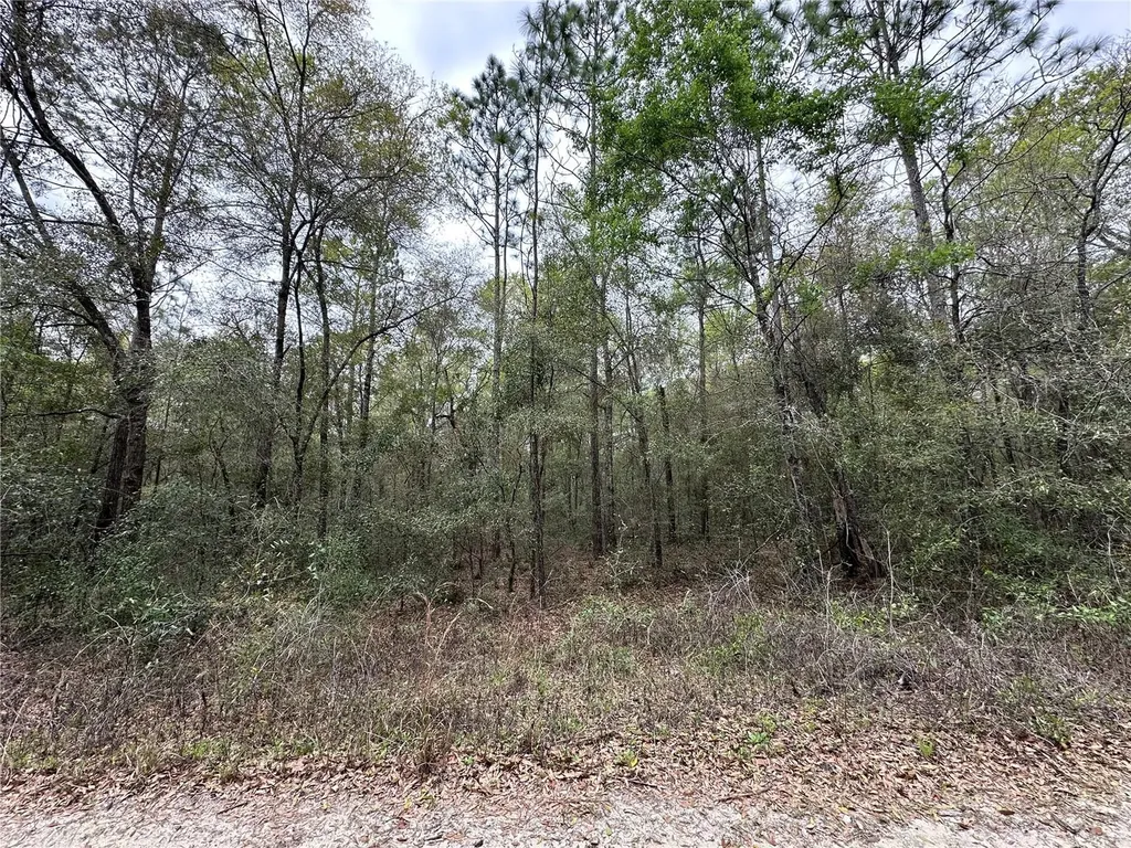 176 NE 155th Court Williston FL 32696