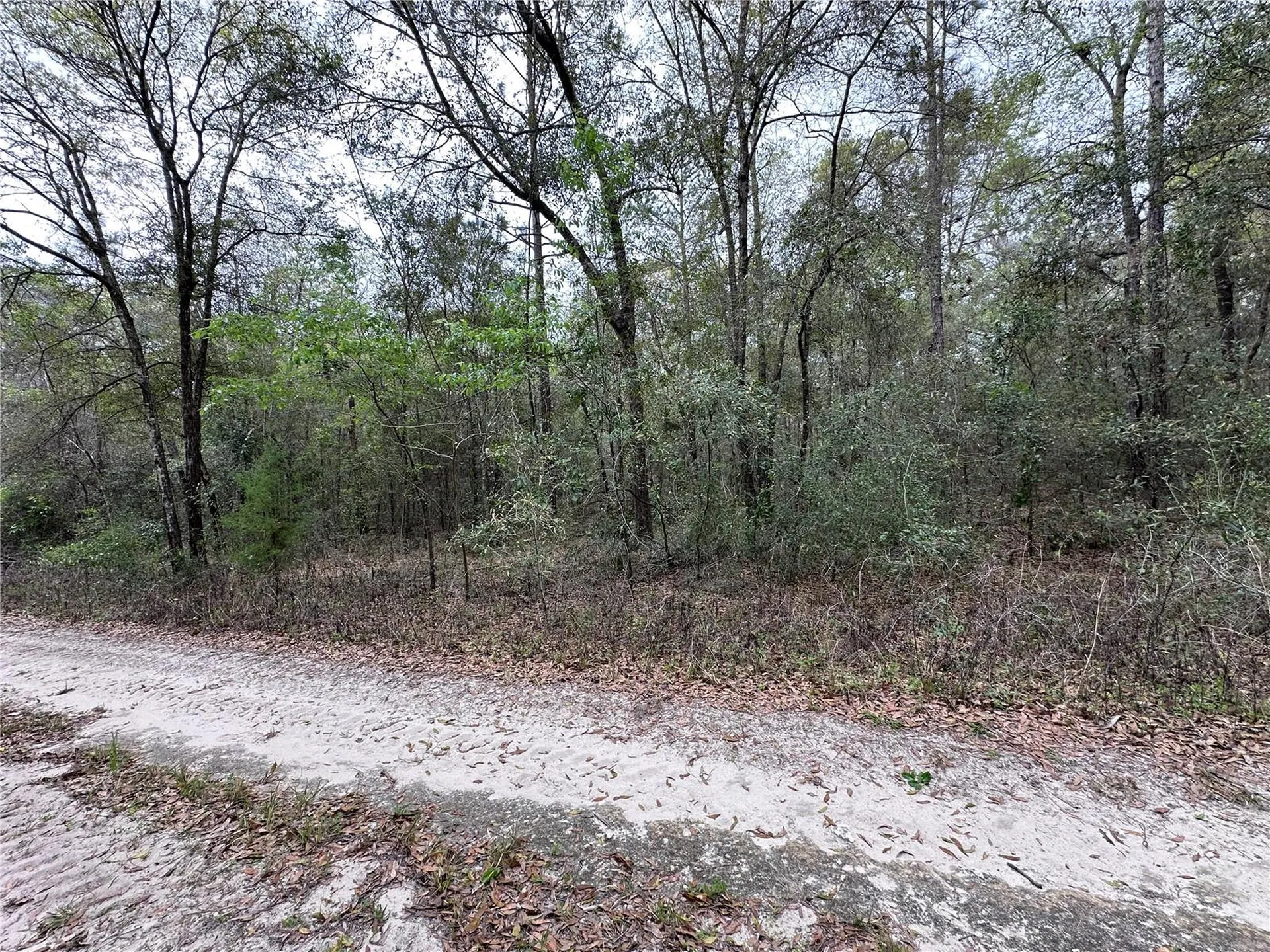 176 NE 155th Court Williston FL 32696