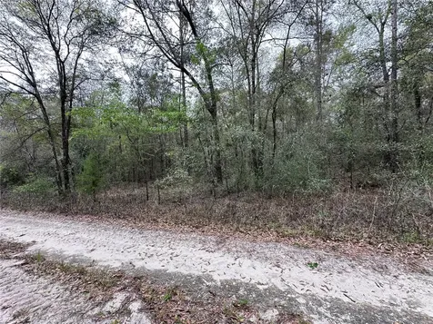 176 NE 155th Court Williston FL 32696
