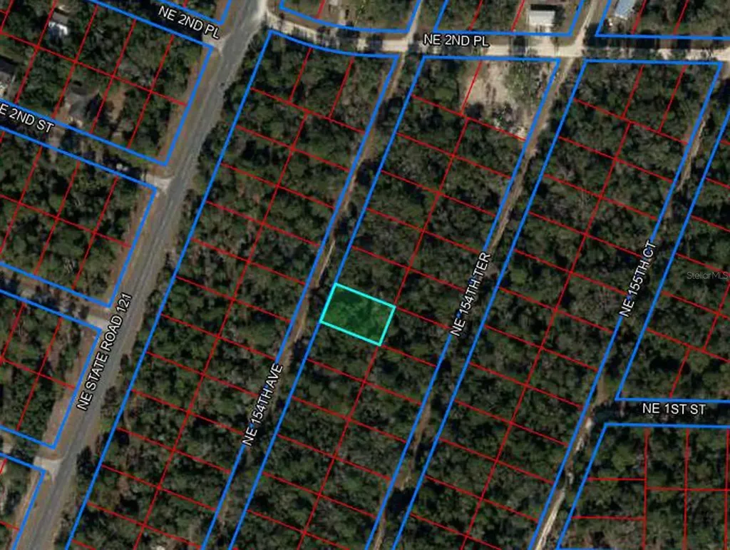 Tbd NE 154th Avenue Williston FL 32696