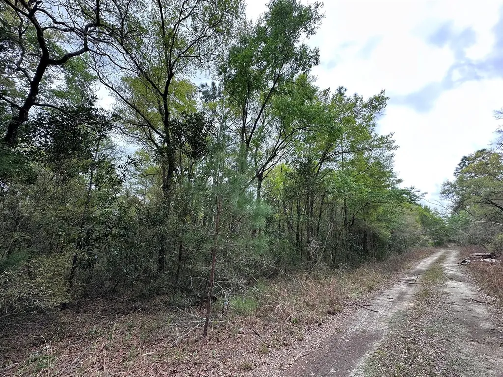 Tbd NE 154th Avenue Williston FL 32696