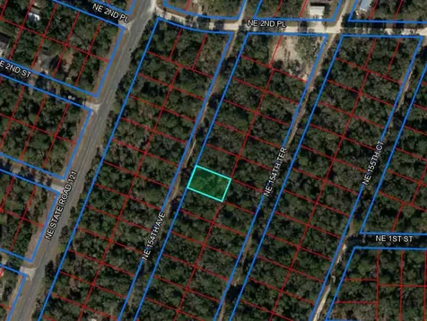 Tbd NE 154th Avenue Williston FL 32696
