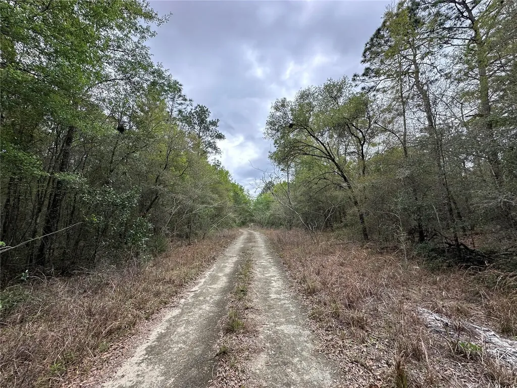 Tbd NE 154th Avenue Williston FL 32696