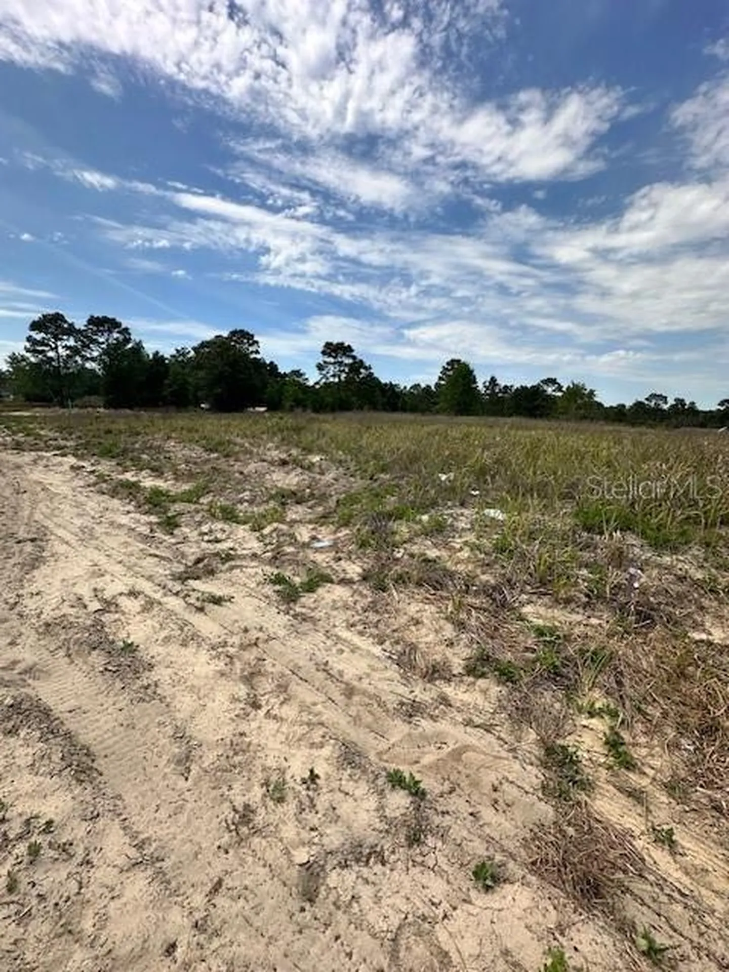 Tbd SW 27th Lane Ocala FL 34481