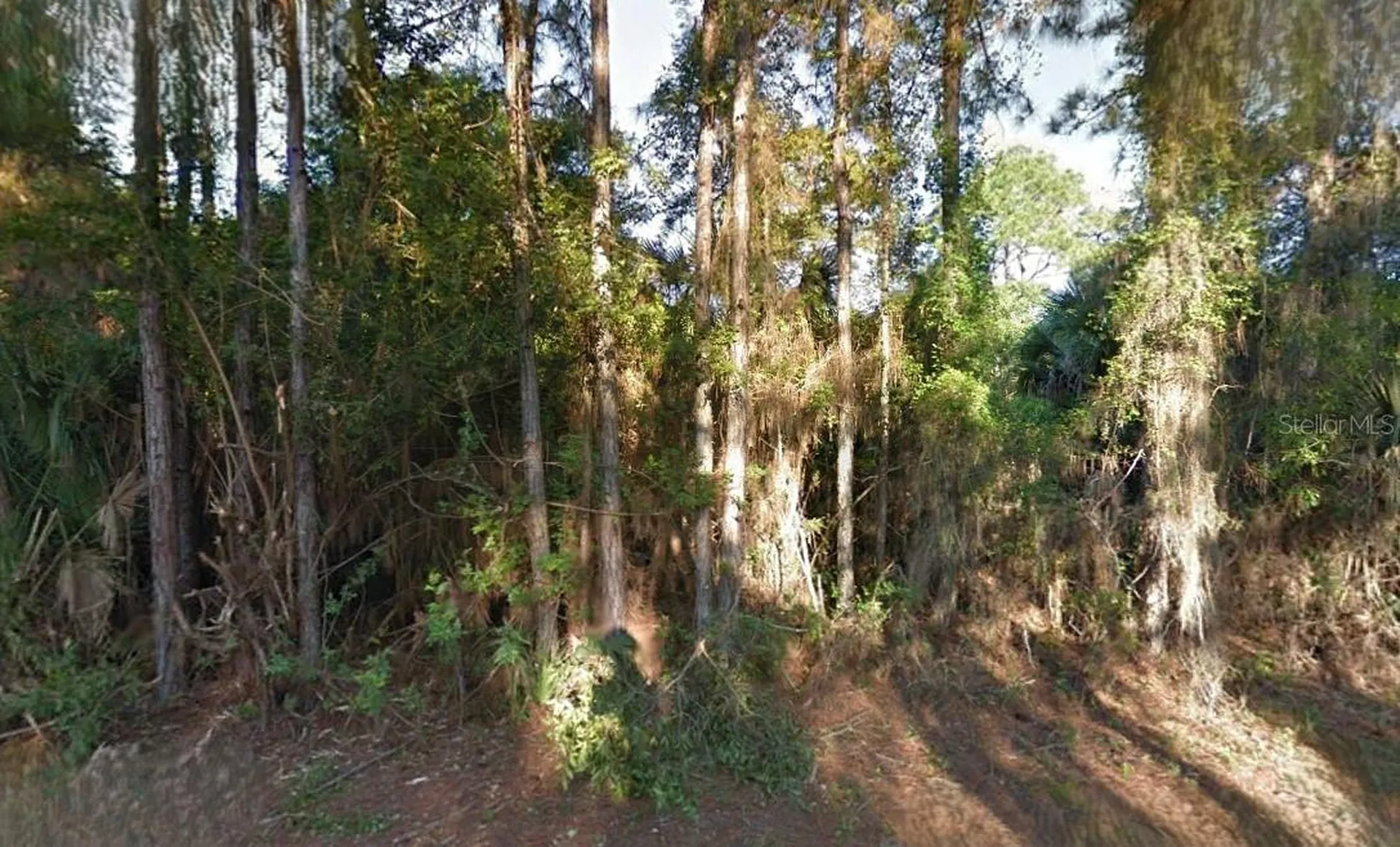 Lutz Road North Port FL 34286