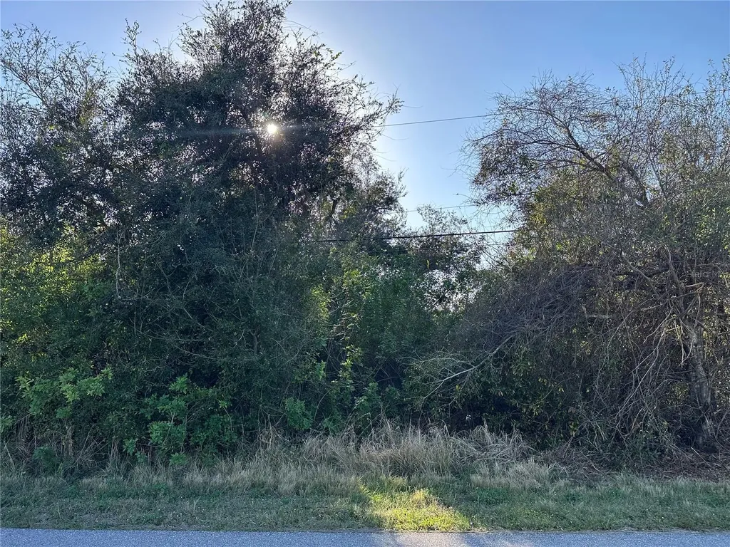 369 San Cristobal Avenue Punta Gorda FL 33983