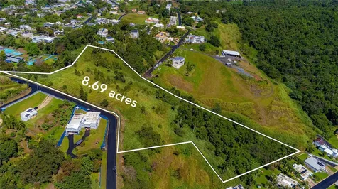 Bo. Minillas Camino Pablo Silva Bayamon PR 00956