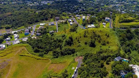 Bo. Minillas Camino Pablo Silva Bayamon PR 00956