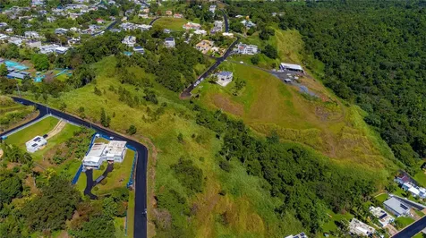 Bo. Minillas Camino Pablo Silva Bayamon PR 00956