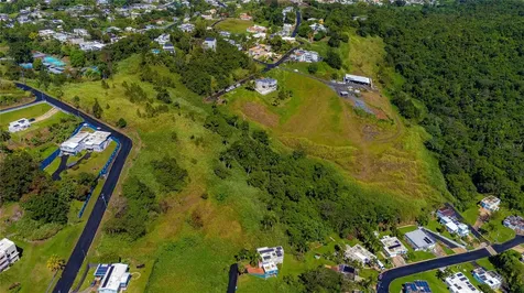 Bo. Minillas Camino Pablo Silva Bayamon PR 00956