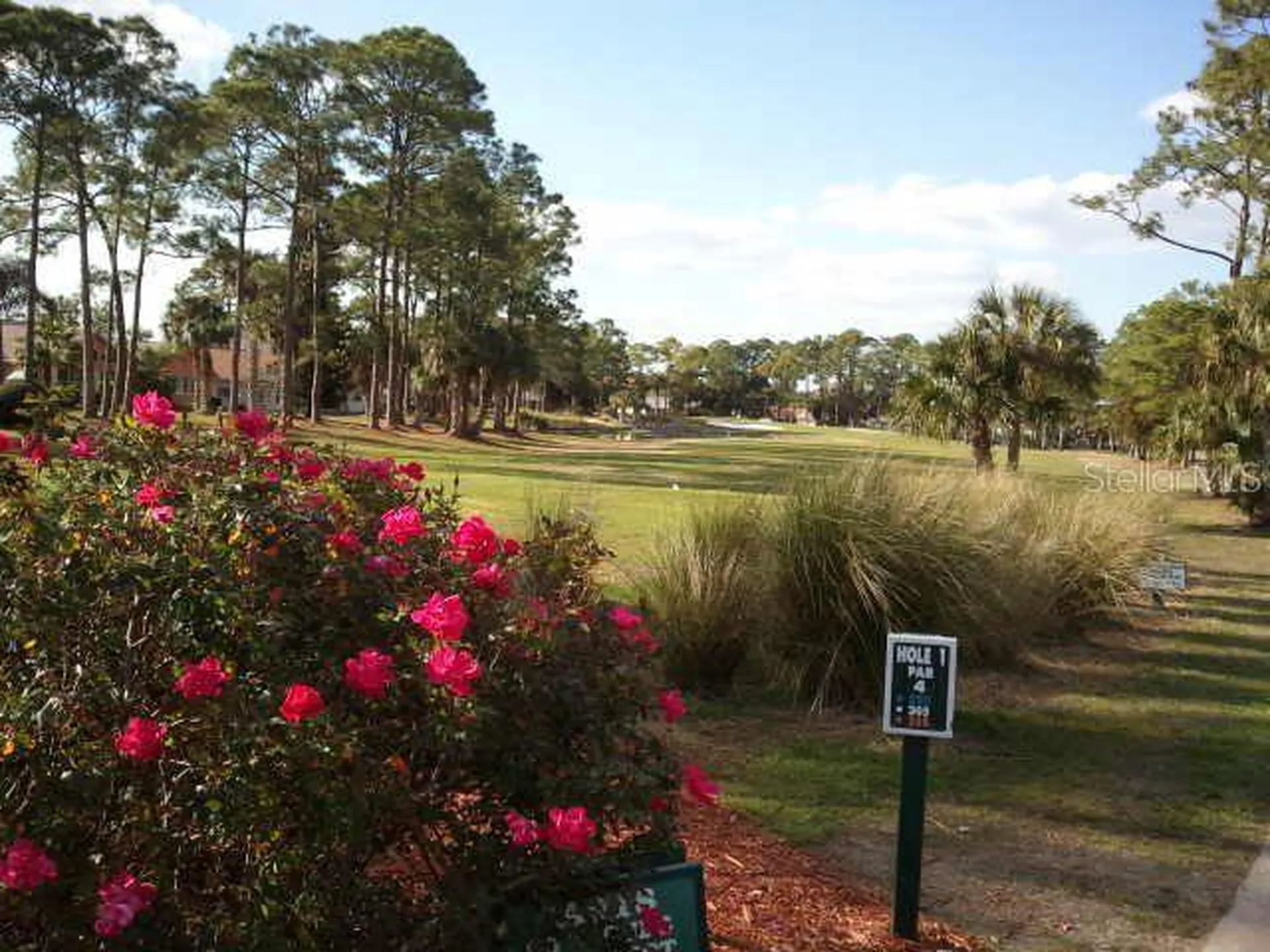 26 Birdie Drive New Smyrna Beach FL 32168