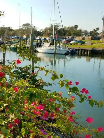 26 Birdie Drive New Smyrna Beach FL 32168
