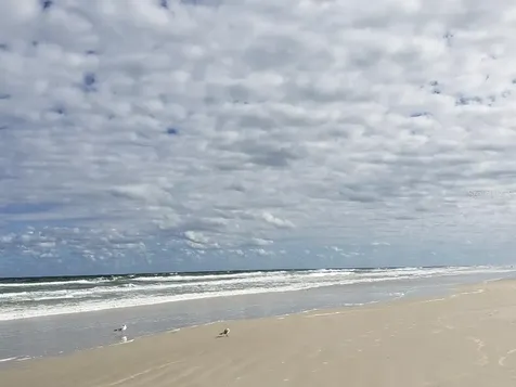 26 Birdie Drive New Smyrna Beach FL 32168