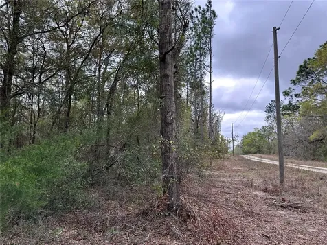 481 NE 154th Terrace Williston FL 32696