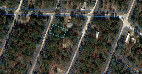481 NE 154th Terrace Williston FL 32696